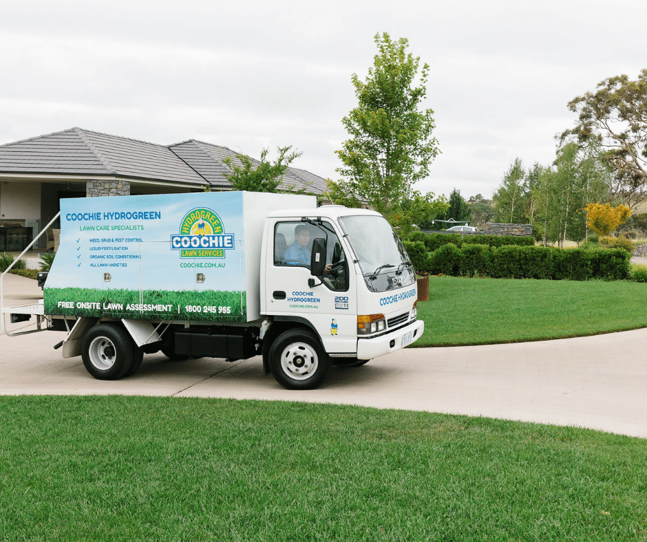 How to Choose the Best Lawn Treatment Service? Coochie