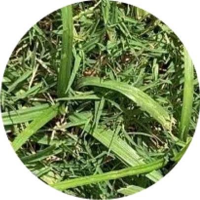 image 1 1