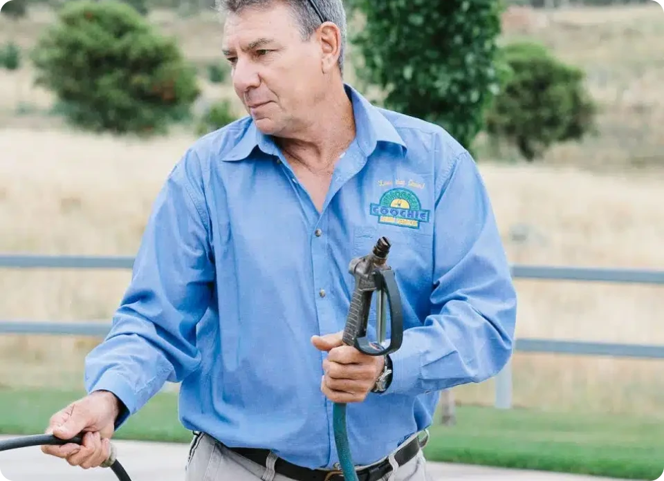 Lawn Disease Control 1 latestimage