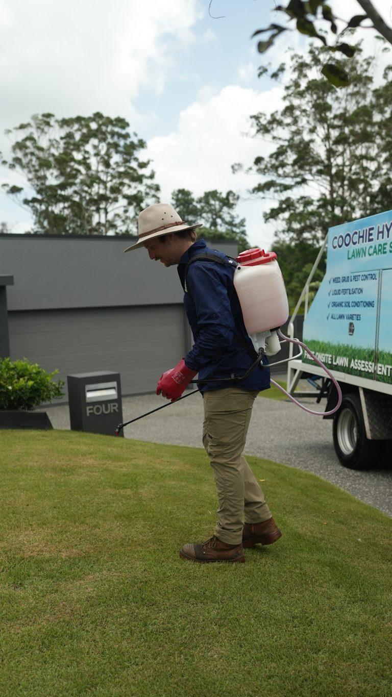 Repair a Damaged Lawn